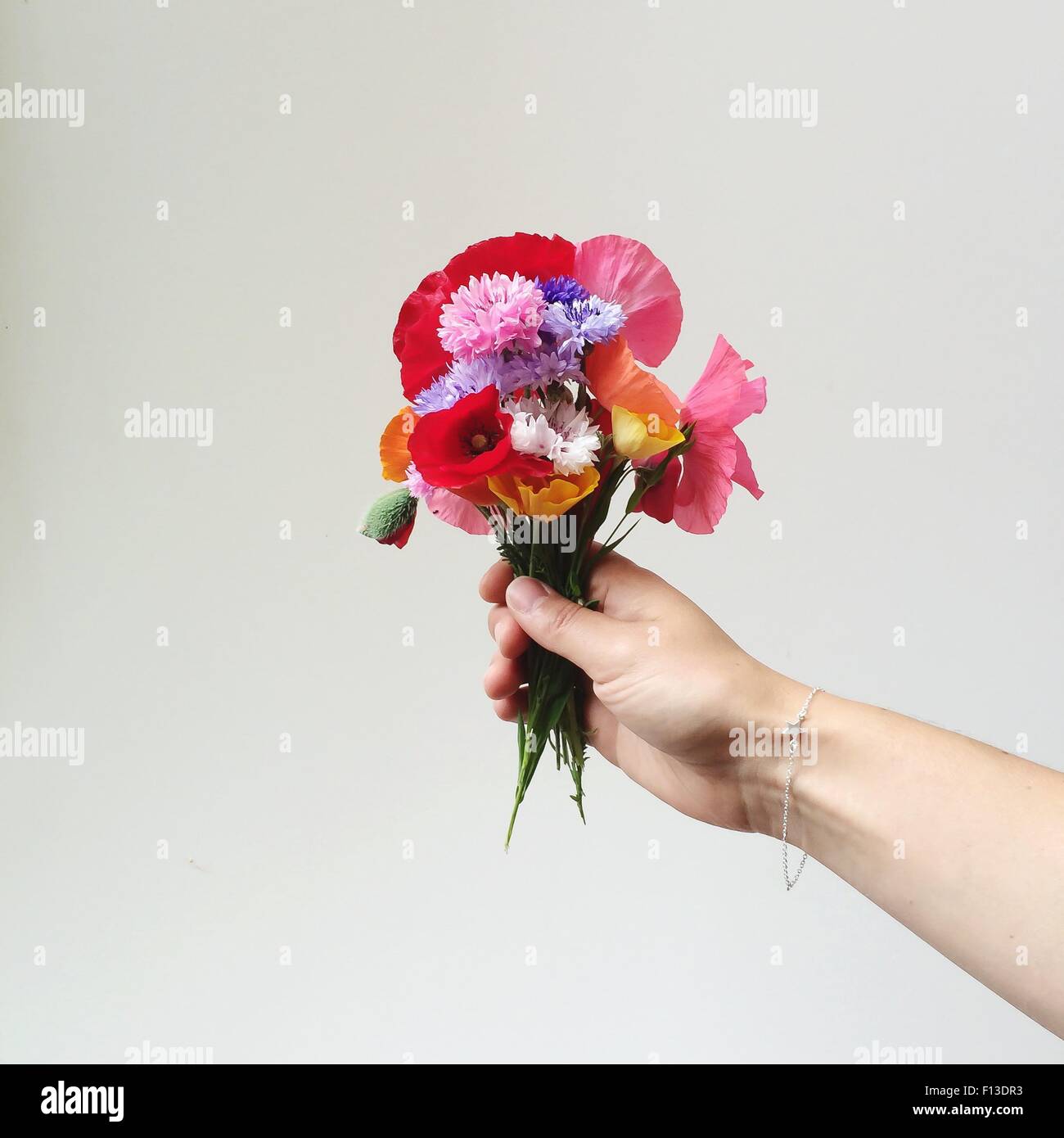 Woman's hand holding bouquet de fleurs sauvages Banque D'Images