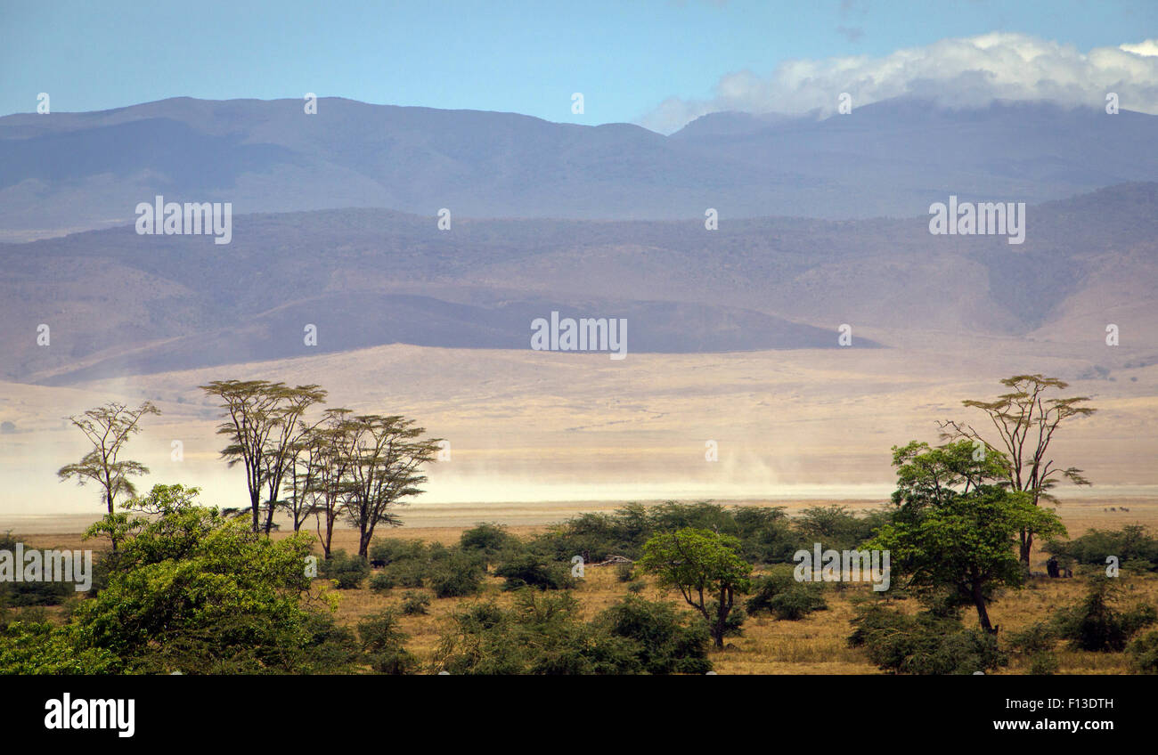 Le cratère du Ngorongoro Wildlife Reserve, Tanzanie Banque D'Images