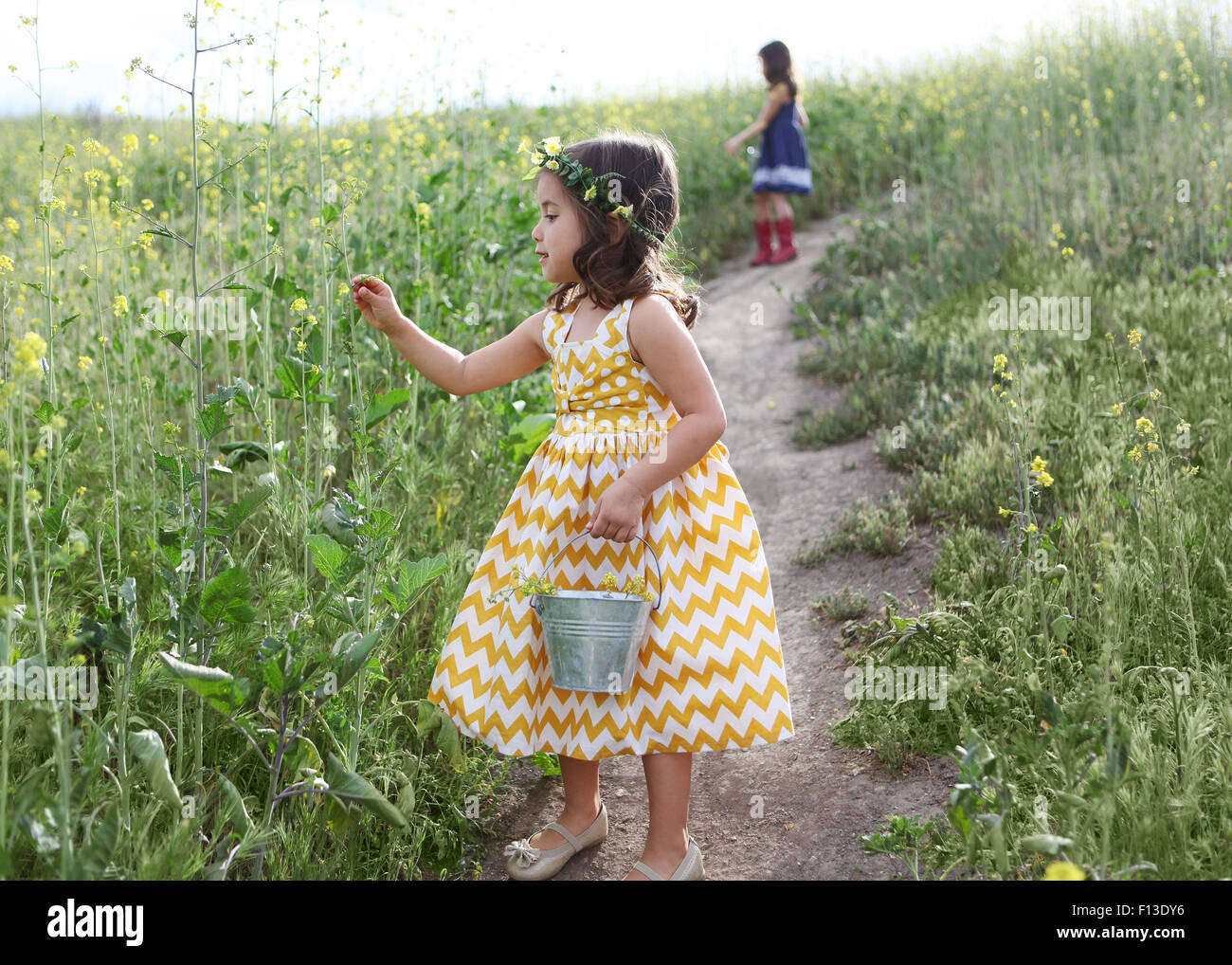 Deux filles cueillette des fleurs dans le champ de fleurs Banque D'Images