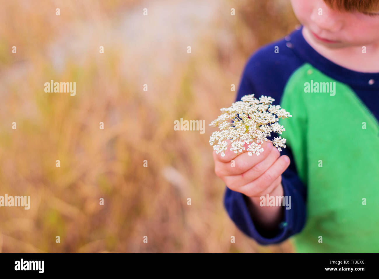 Boy holding a flower Banque D'Images