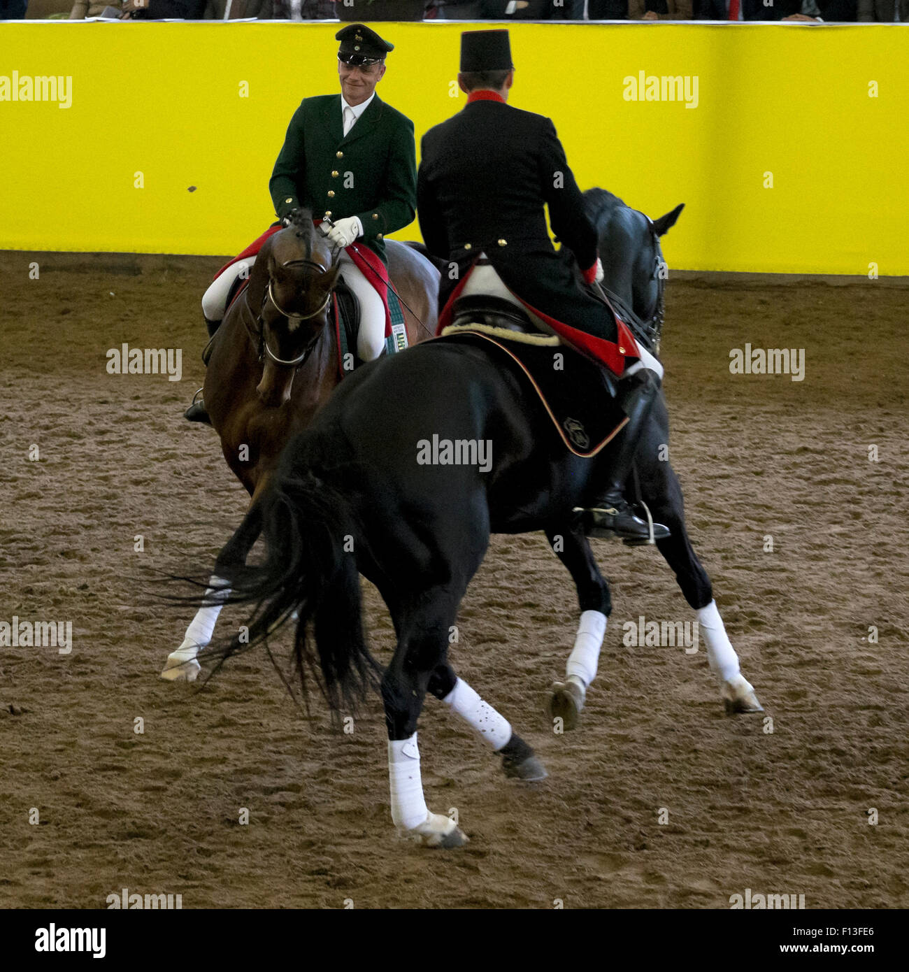 Marbach cavaliers en uniforme traditionnel effectuer au cours de la 500e anniversaire du haras de Marbach, Haras National, Alpes Souabe, près de Reutlingen, en Baden-Wurttemberg, Allemagne. Mai 2014. Banque D'Images