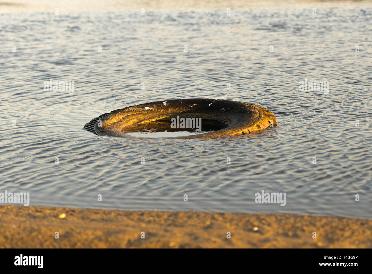 Plage polluée avec une roue de chariot en elle. Banque D'Images