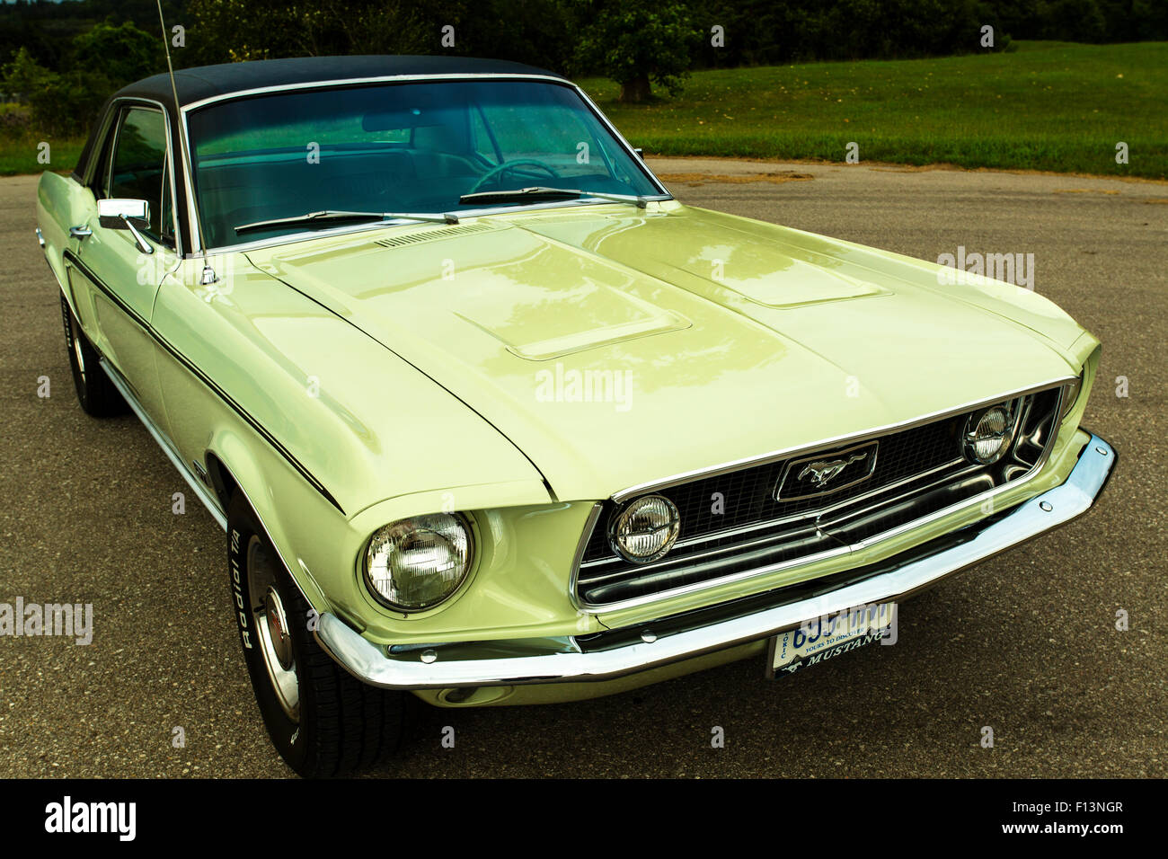 1968 Ford Mustang GT sur la chaussée Banque D'Images