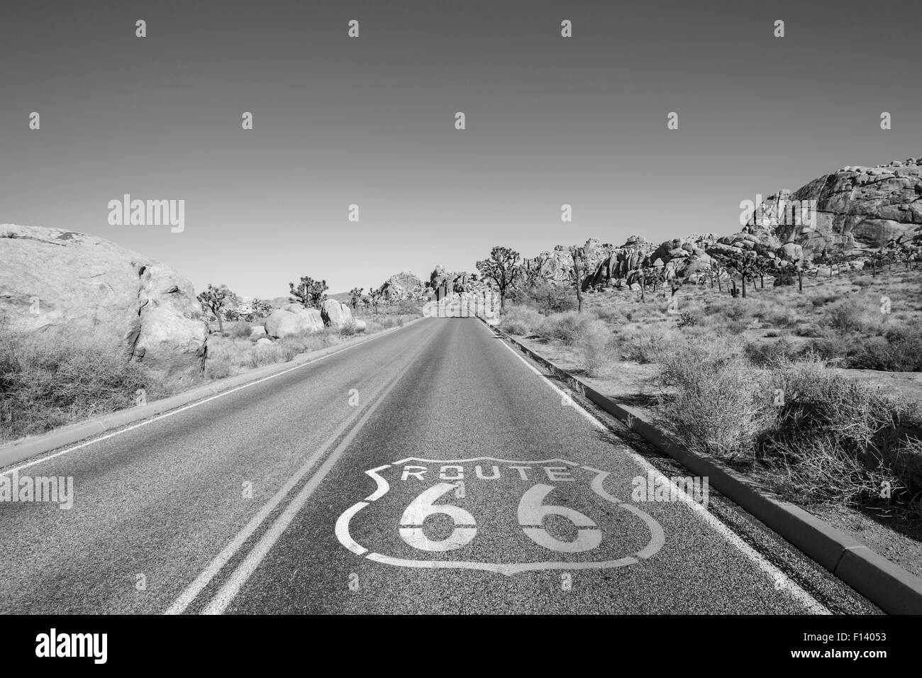 La route de Joshua Tree avec Route 66 pavement sign en noir et blanc. Banque D'Images