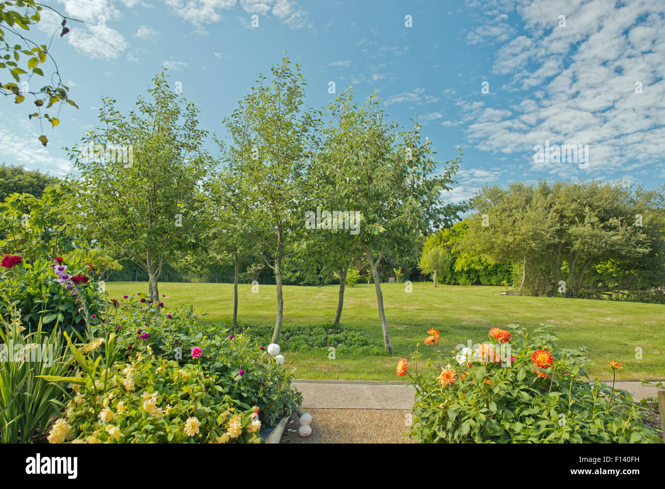 Pelouse et jardin d'accueil en France Banque D'Images