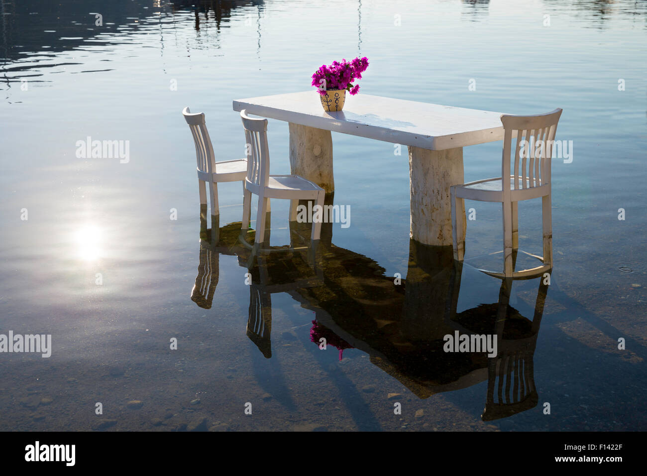 Purple fleurs décoratives sur une table en bois blanc à l'intérieur de l'eau de mer près de seaside Banque D'Images