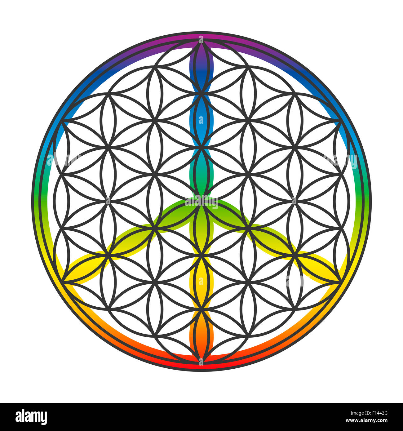 Fleur de vie et le signe de la paix réunis en un seul symbole. Illustration sur fond blanc. Banque D'Images