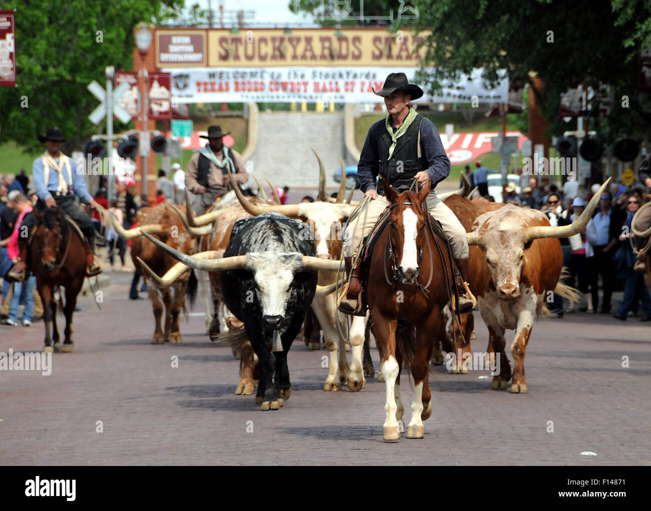 Fort Worth Texas de bétail au Stockyards Banque D'Images