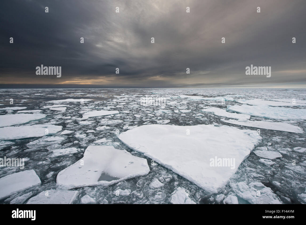 Pack formation de glace sur l'océan Arctique, loin au nord du Svalbard, en Norvège, en septembre 2013. Banque D'Images