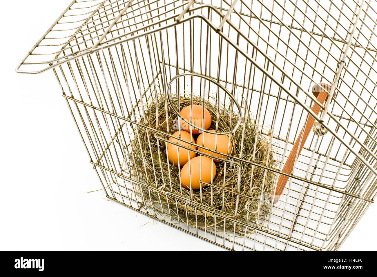 Oeufs dans le nid confiné dans Bird Cage isolé sur avec Banque D'Images