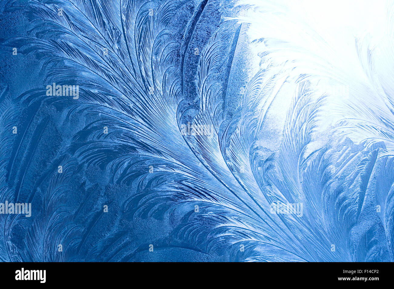 Modèle de glace sur une fenêtre en hiver Banque D'Images