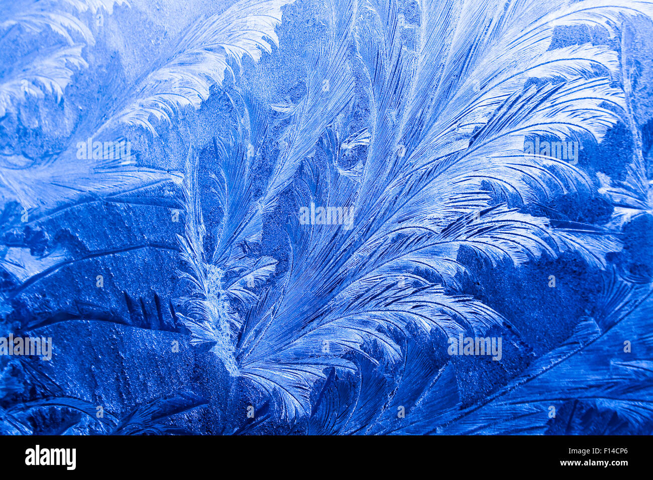 Modèle de glace sur une fenêtre en hiver Banque D'Images