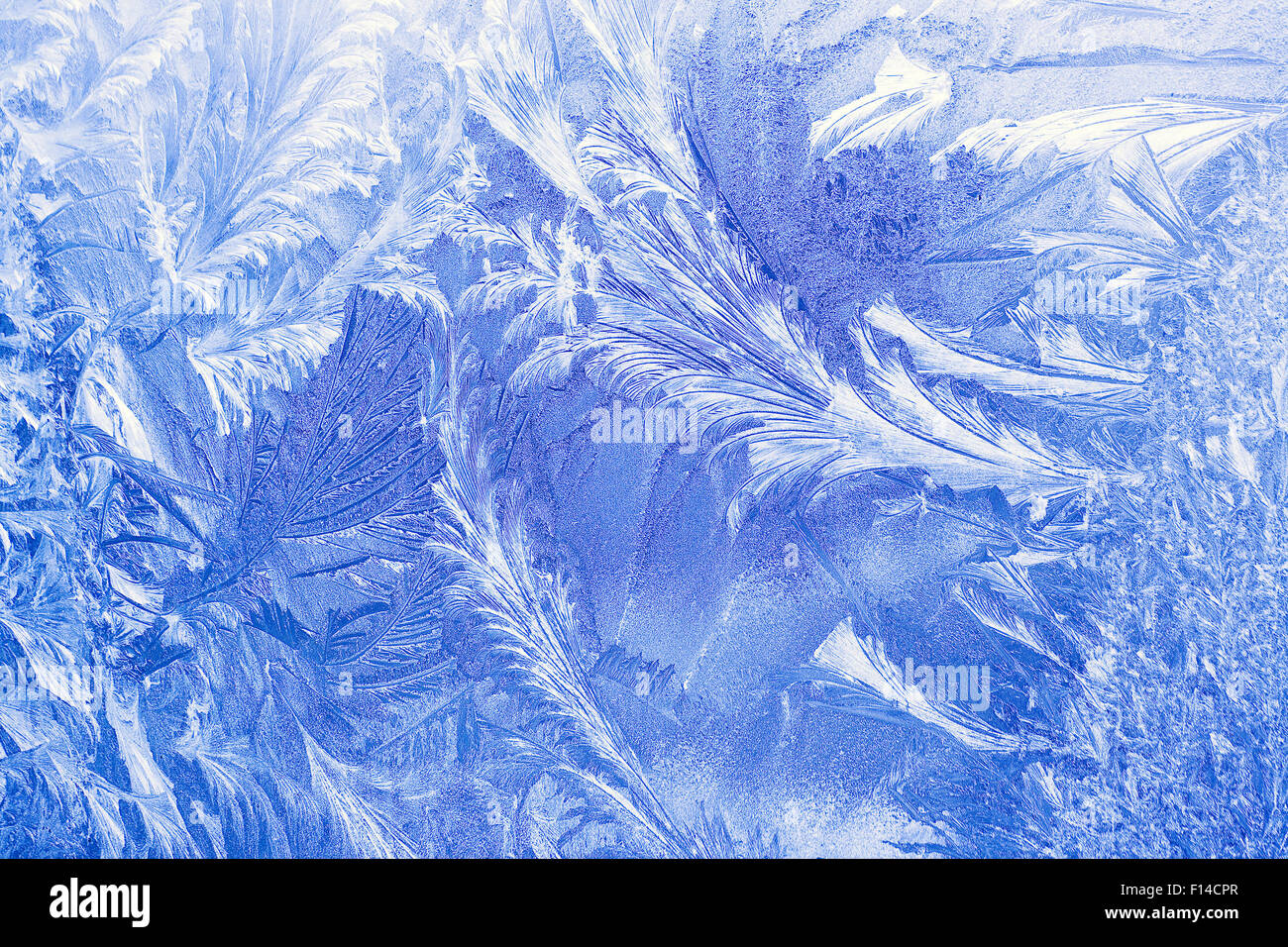 Modèle de glace sur une fenêtre en hiver Banque D'Images