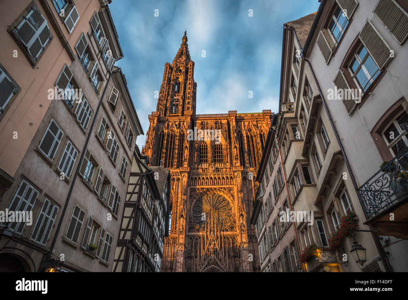 Cathédrale de Notre Dame de Strasbourg, Alsace, France Banque D'Images