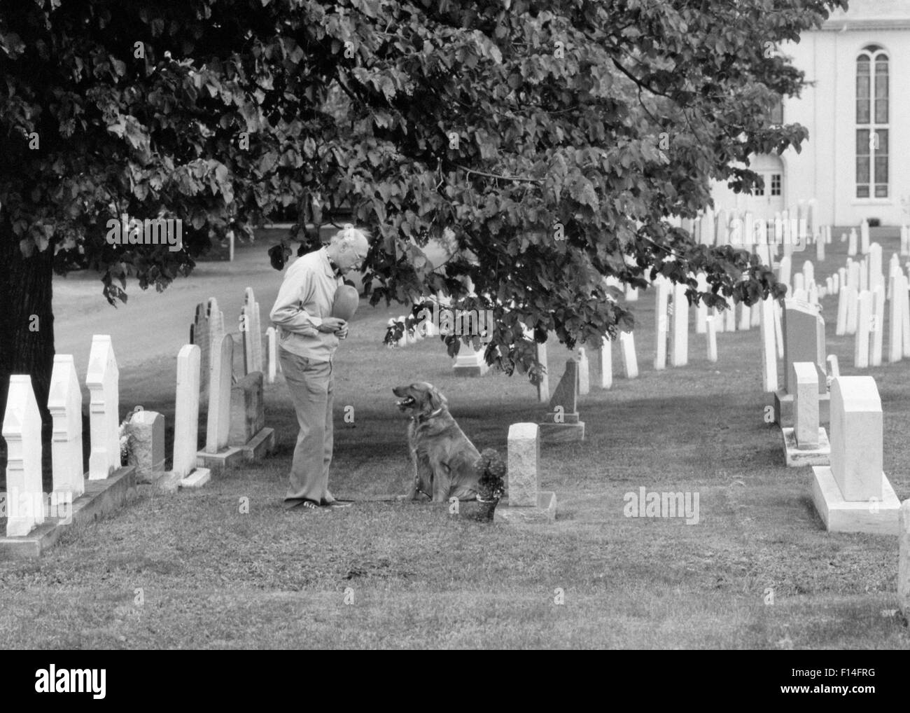 Homme âgé HAT SUR LE COEUR ET LE CHIEN TOMBE DE VISITE D'un être cher en cimetière cimetière Banque D'Images