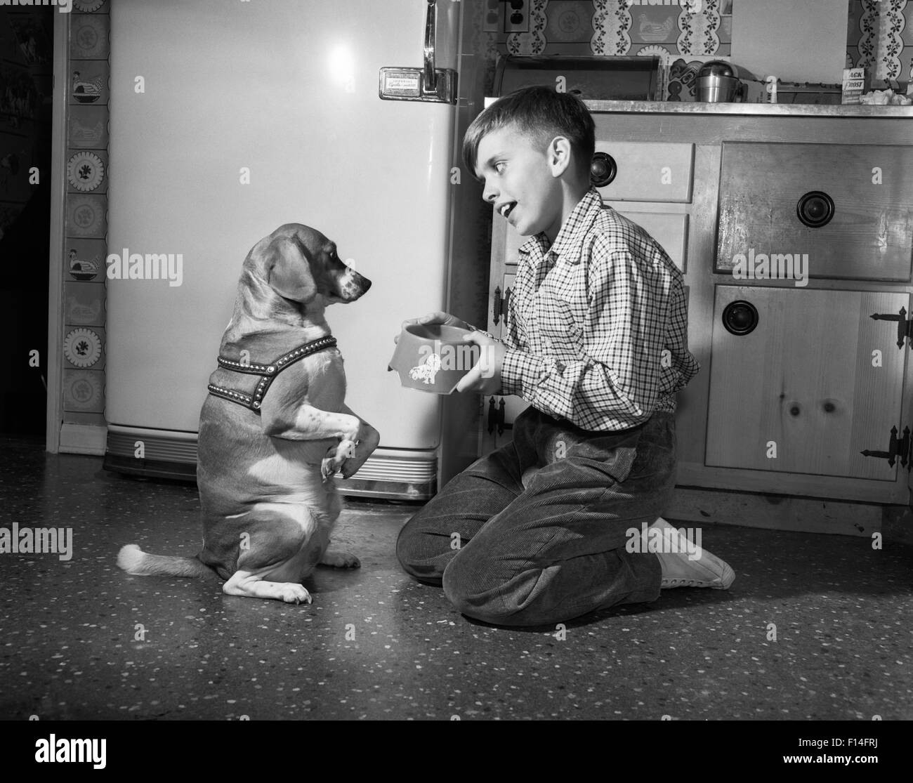 1950 chien assis à la mendicité EN FACE DE GARÇON à genoux sur le plancher de cuisine bol alimentaire HOLD Banque D'Images