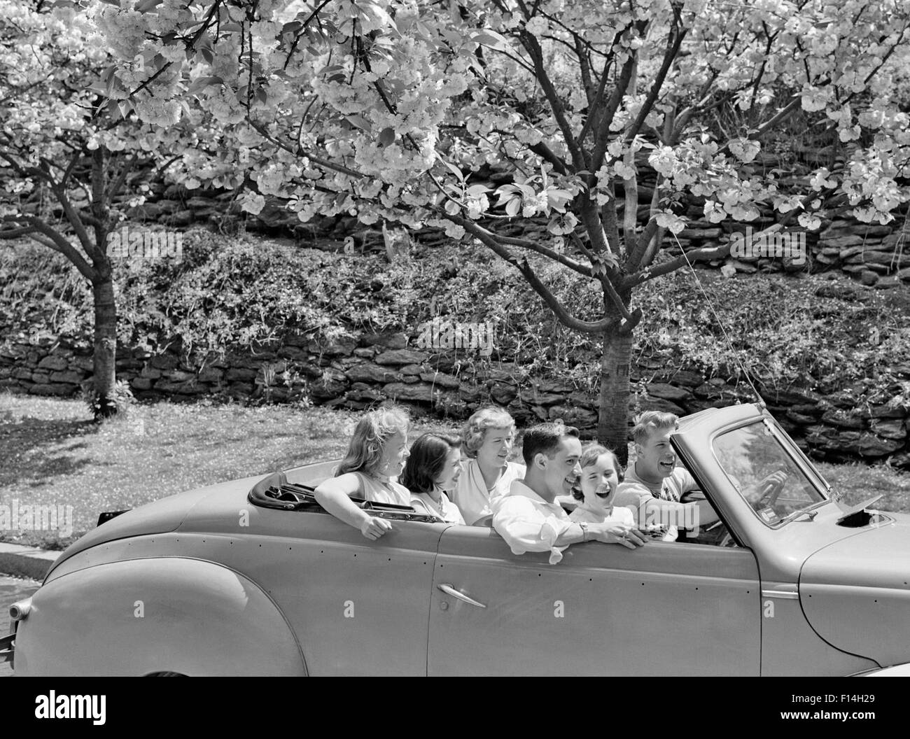 Années 1950, 6 Adolescents 2 garçons et 4 filles AUTOUR DE LA CONDUITE AUTOMOBILE EN vieille décapotable AU PRINTEMPS Banque D'Images