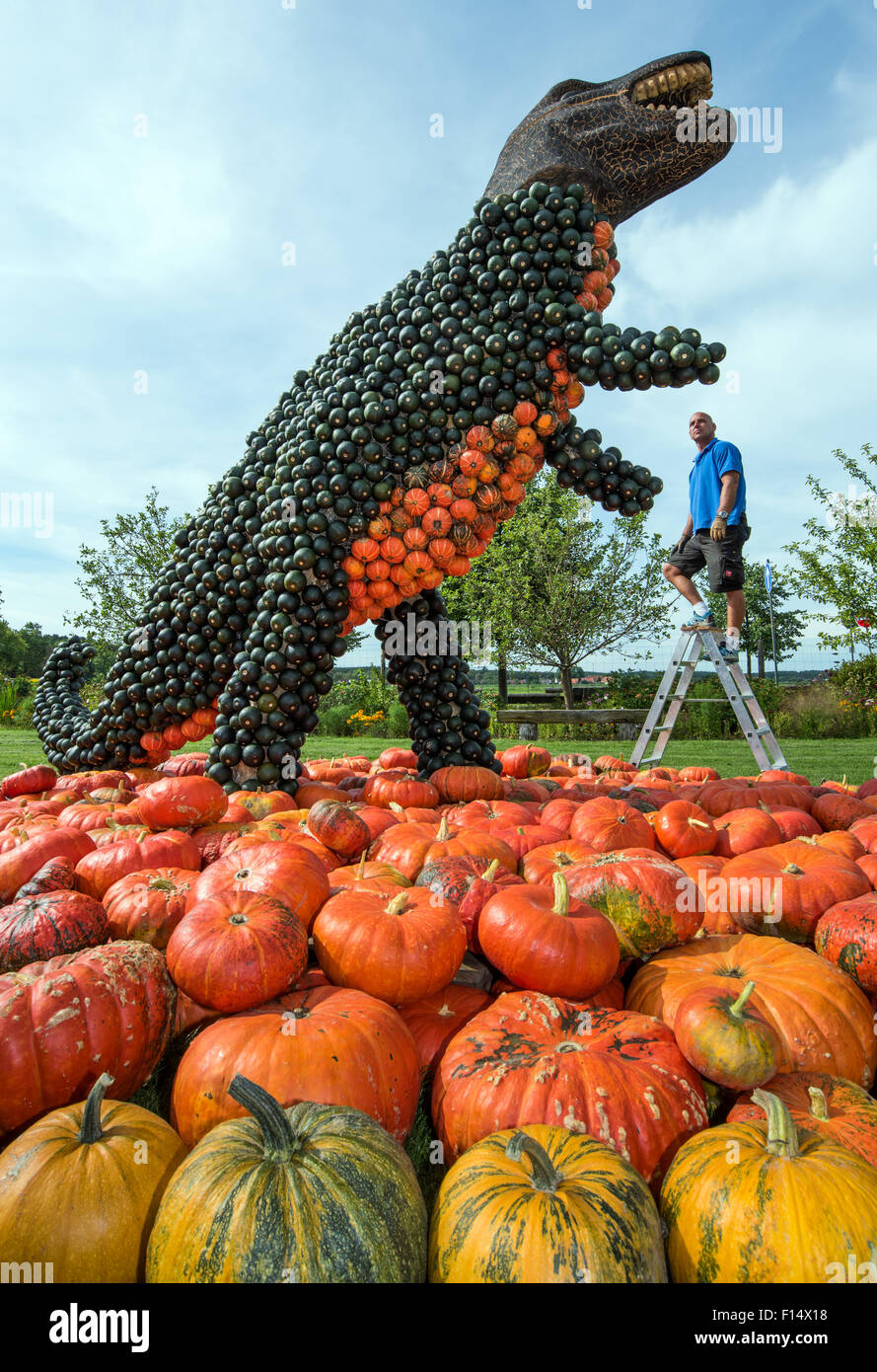 Robert Drozdowski de la ferme Buschmann Erlebnishof und Winkelmann travaille sur une figurine d'un T-Rex dinosaure dans Klaistow, Allemagne 27 août 2015. La traditionnelle exposition citrouille s'ouvre sous la devise 'Koenige dans Klaistow' (lt : Kings à Klaistow) à la ferme le 29 août 2015. Plus de 100 000 citrouilles, dont la plupart ont été construites pour représenter les membres du règne animal, le monde féerique ou l'ancienne Prussiens, ont déjà été installés en exposition à la Spargel- und Erlebnishof und Buschmann Winkelmann. Photo : PATRICK PLEUL/dpa Banque D'Images