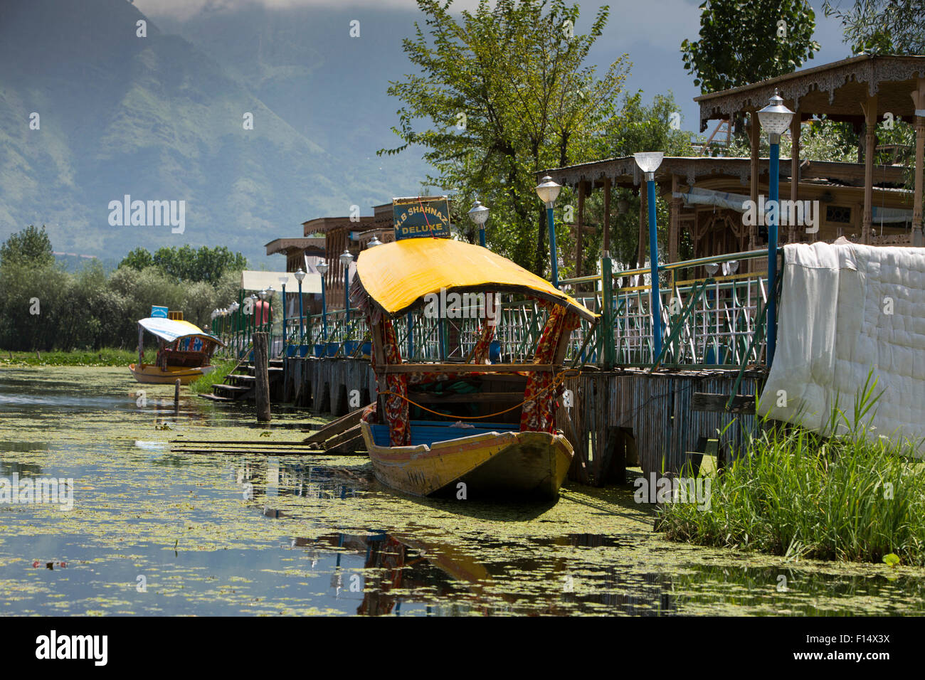 L'Inde, le Jammu-et-Cachemire, Srinagar, le lac Dal, shikaras colorés amarrés à houseboats Banque D'Images