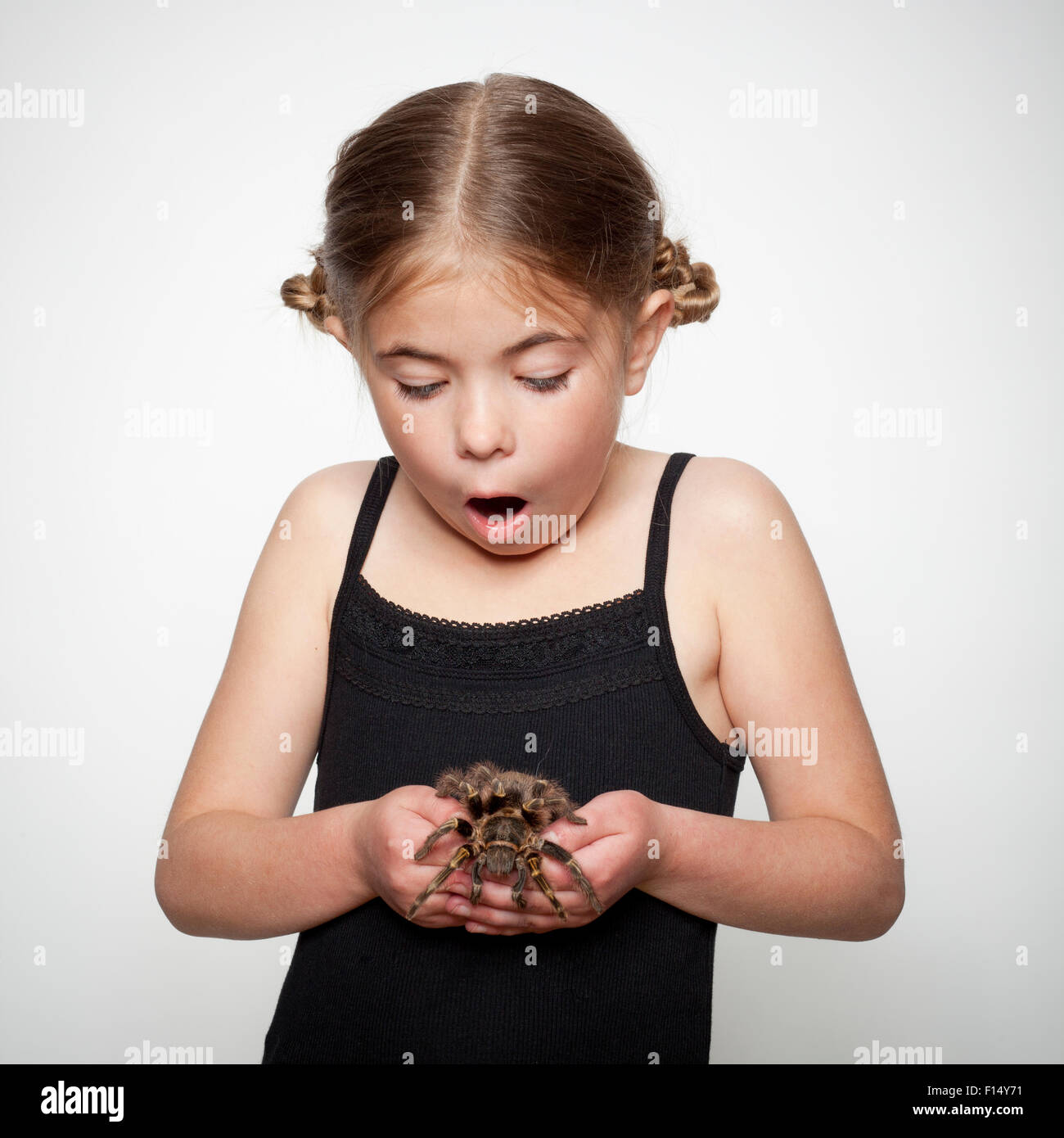 Studio Portrait of Girl (6-7) holding tarantula Banque D'Images