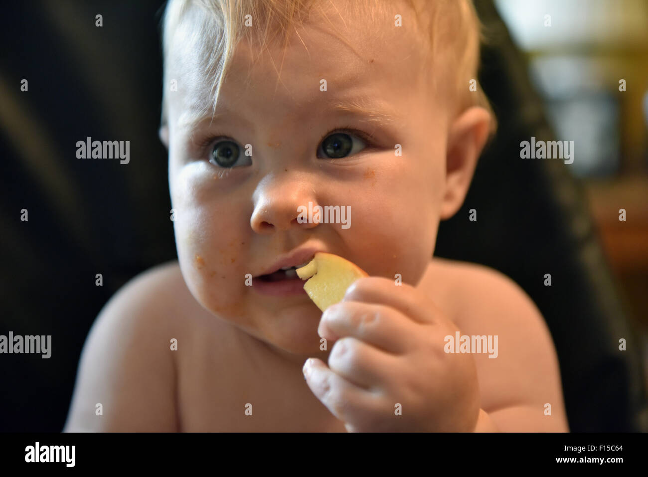 Un Portrait D Un Bebe De 11 Mois Dentition Assis Sur Une Chaise Haute De Manger Une Tranche De Pomme Photo Stock Alamy