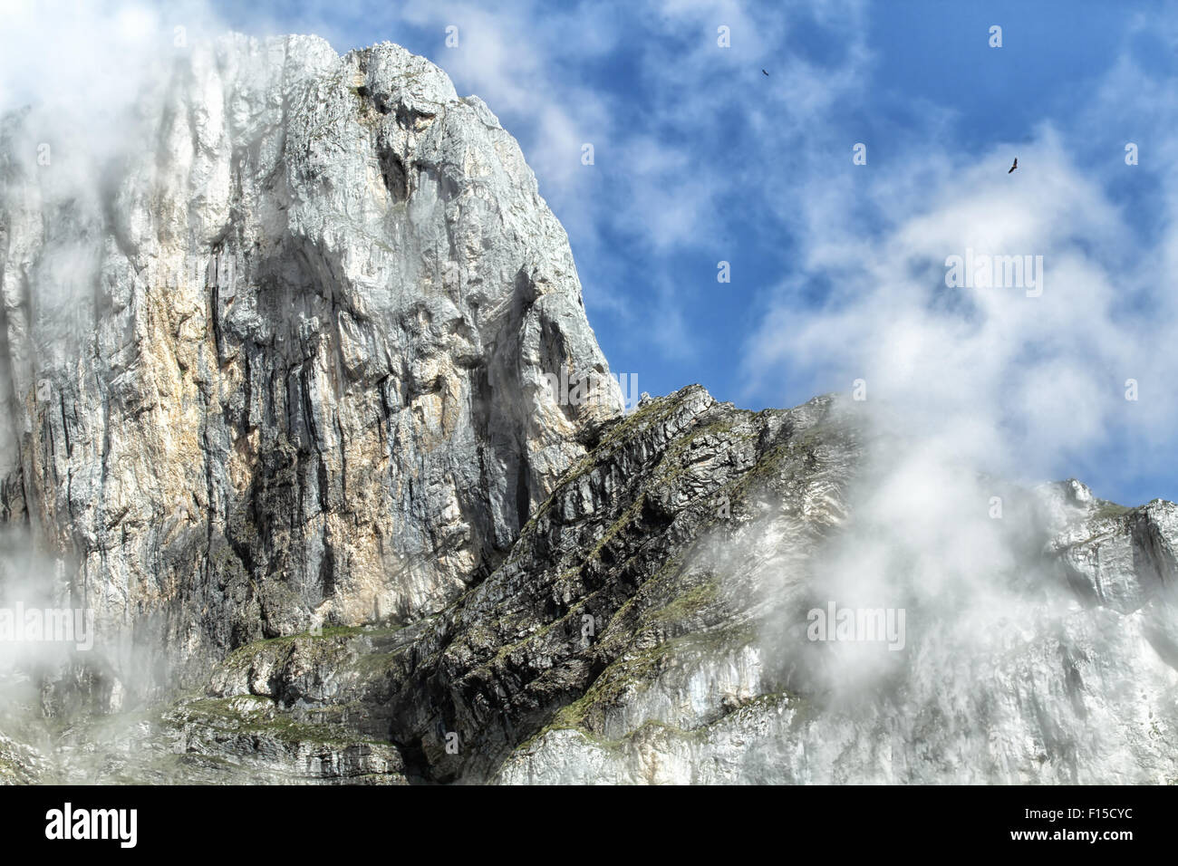 Les sommets des montagnes alpines de Picos de Europa, les monts Cantabriques, en Espagne. Les cercles de vautours fauves à proximité. Banque D'Images