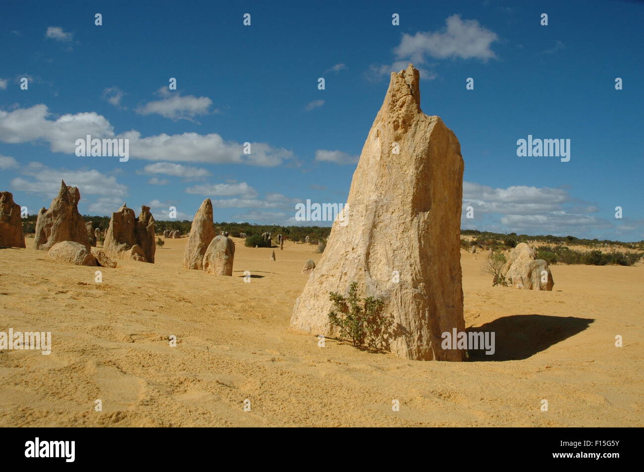 Pinnacles National Park, Australie occidentale Banque D'Images