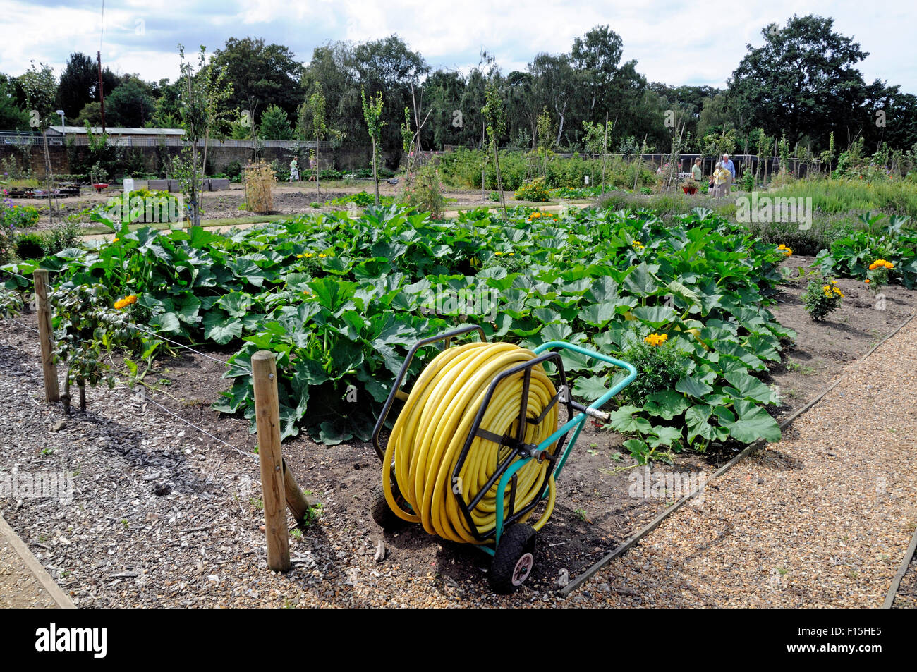 Arrosage Portable, Chiswick House Kitchen Garden, London Borough of Hounslow. Banque D'Images