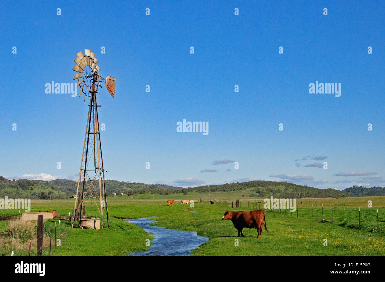 Comté de ferme à Central Valley, Californie Banque D'Images