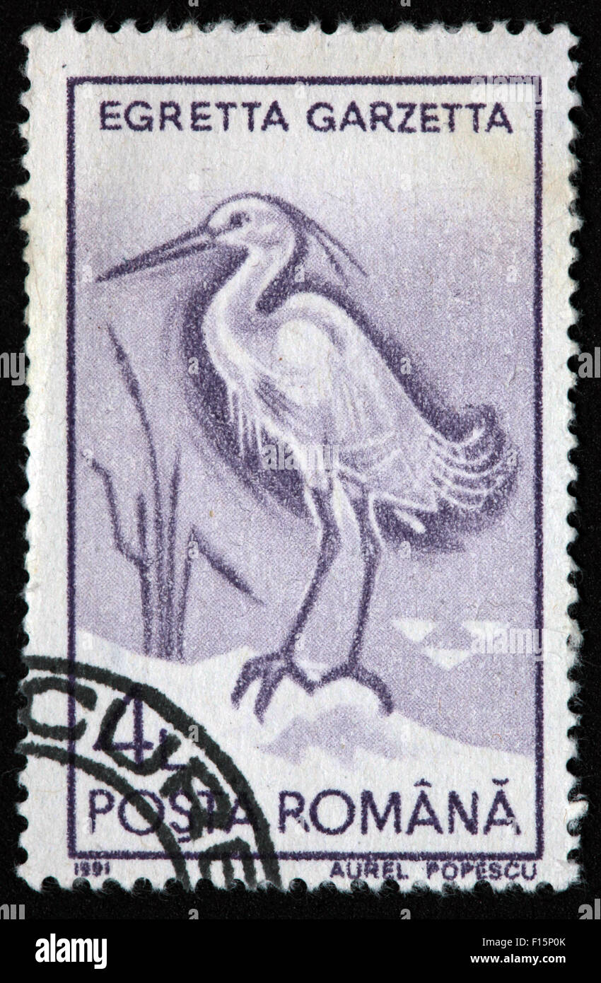 1991 Posta Romana Egretta garzetta Aigrette Aurel Popescu Stamp Banque D'Images