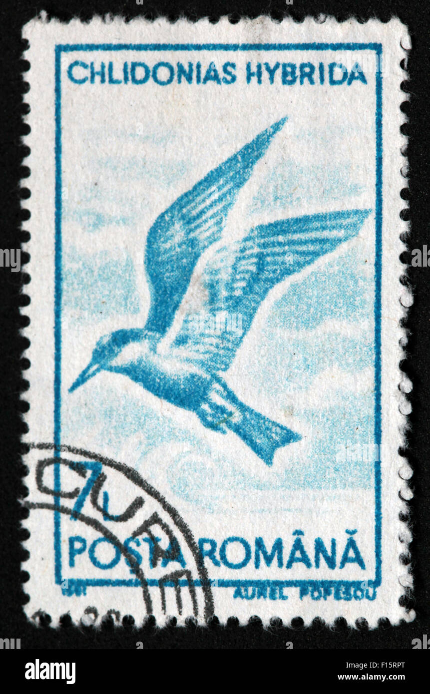 Romana Chlidonias Hybrida 7 timbres oiseaux Banque D'Images