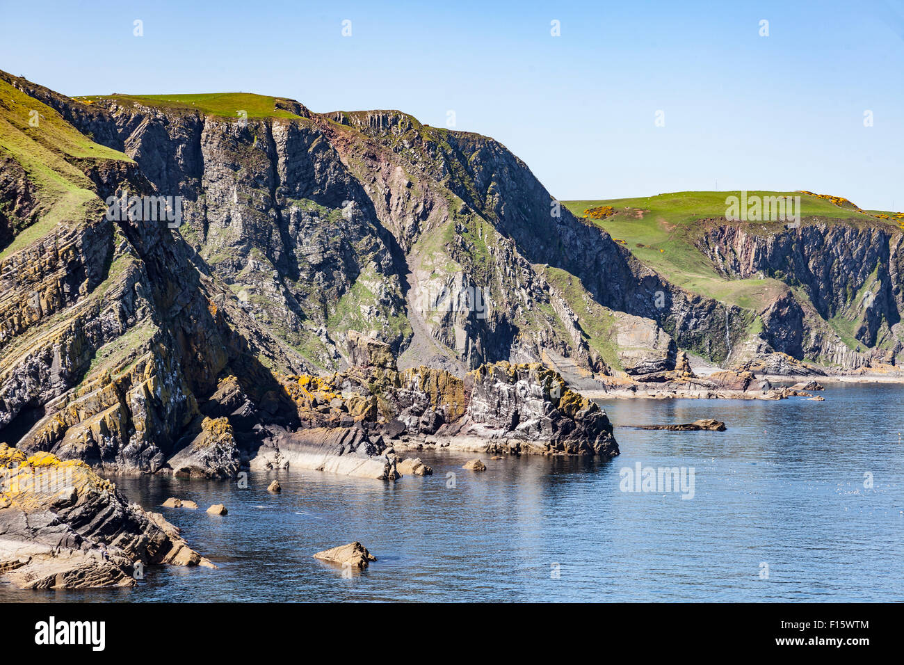 Une partie de l'intéressant au paysage géologiquement-St Abb's Head, Berwickshire, Ecosse, Royaume-Uni Banque D'Images