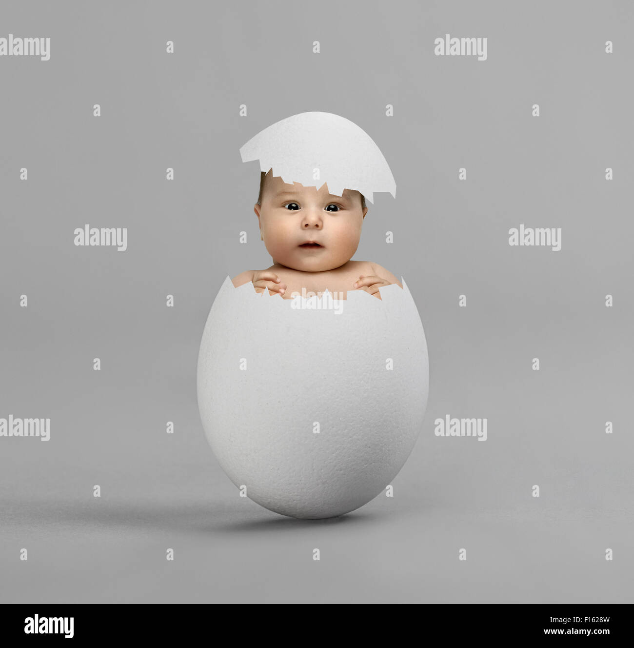 Un œuf blanc avec bébé, sur fond gris, l'éclosion Banque D'Images