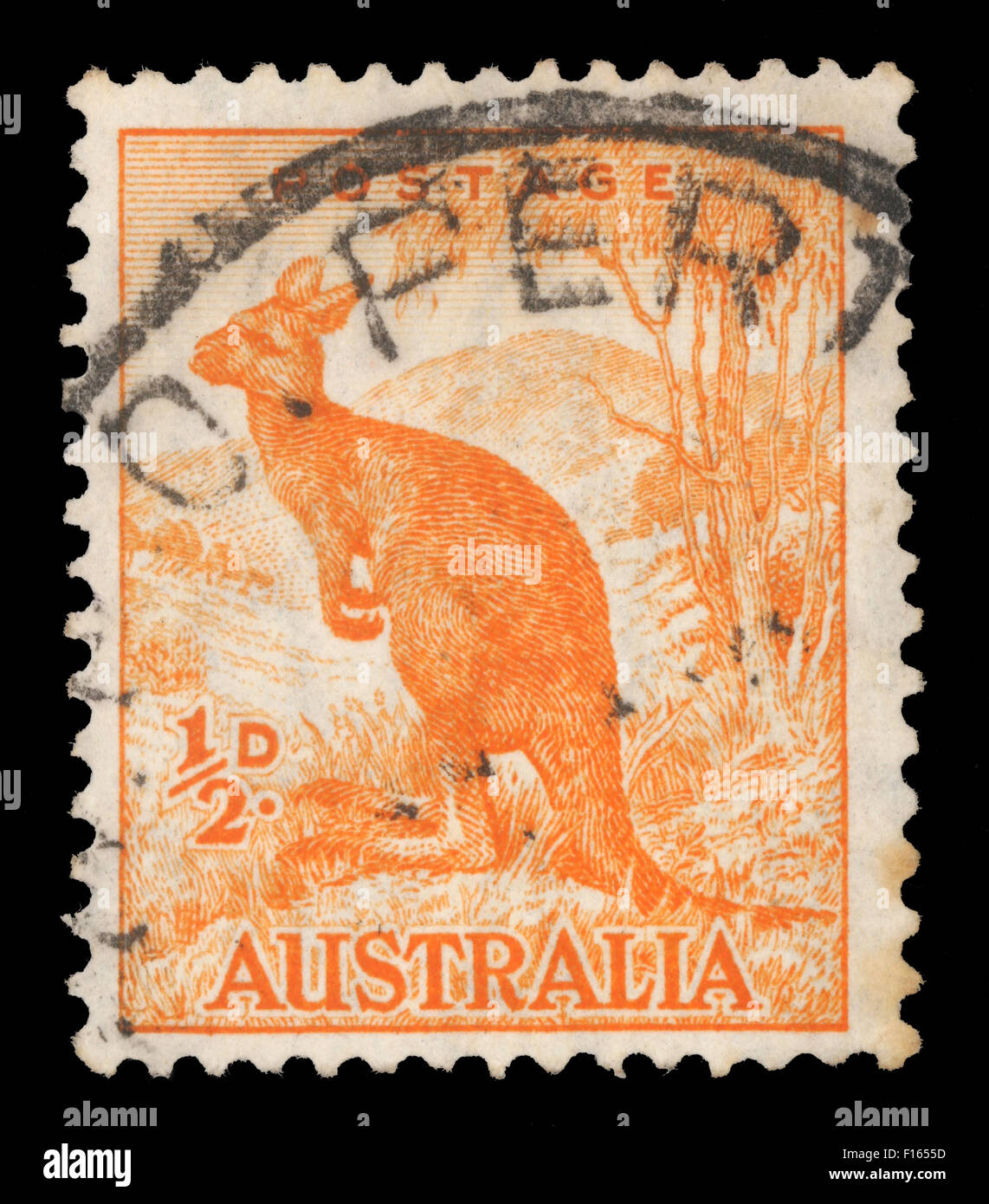 Timbres en Australie avec l'image d'un kangourou (1937) de la première impression. Banque D'Images