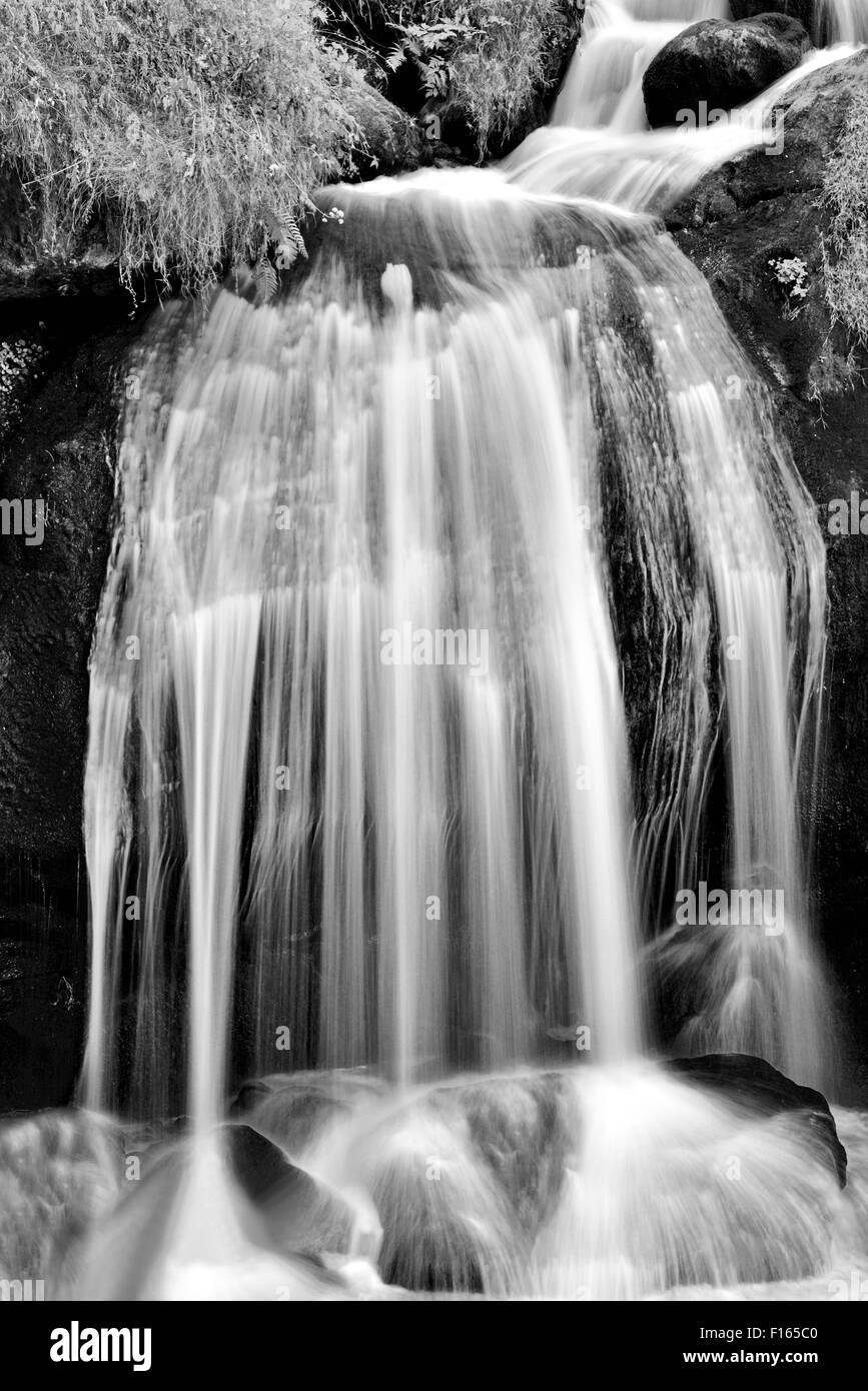 Allemagne, Forêt-Noire : Cascade de la Cascades de Triberg en noir et blanc Banque D'Images
