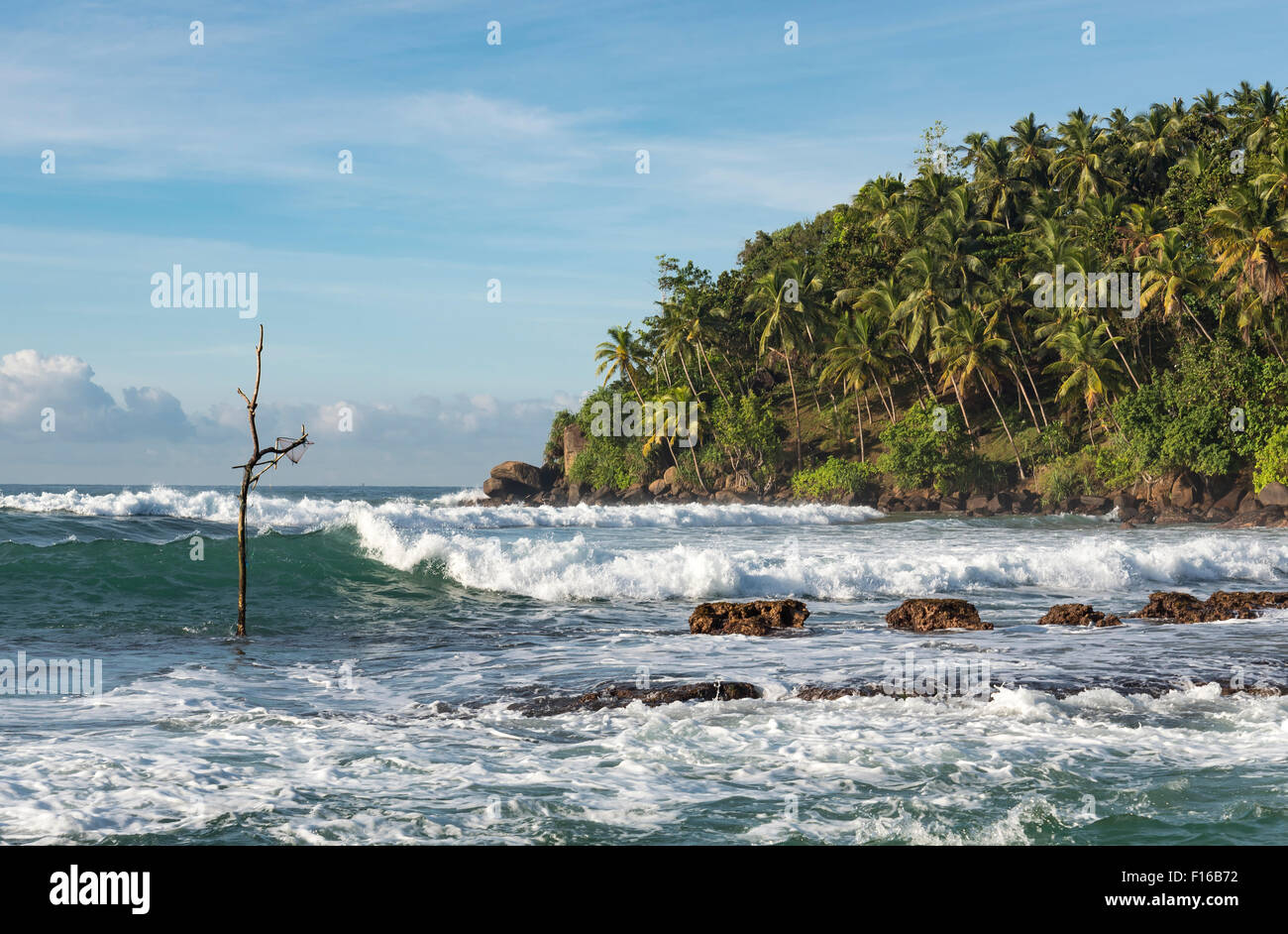 Échasses vide Canne à pêche, Mirissa, Sri Lanka Banque D'Images