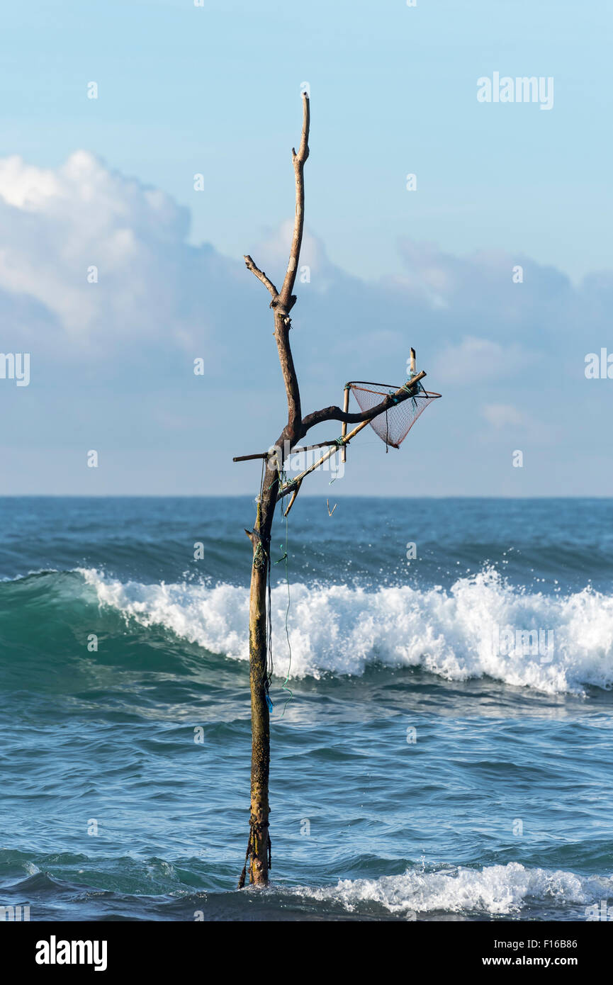 Échasses vide Canne à pêche, Mirissa, Sri Lanka Banque D'Images
