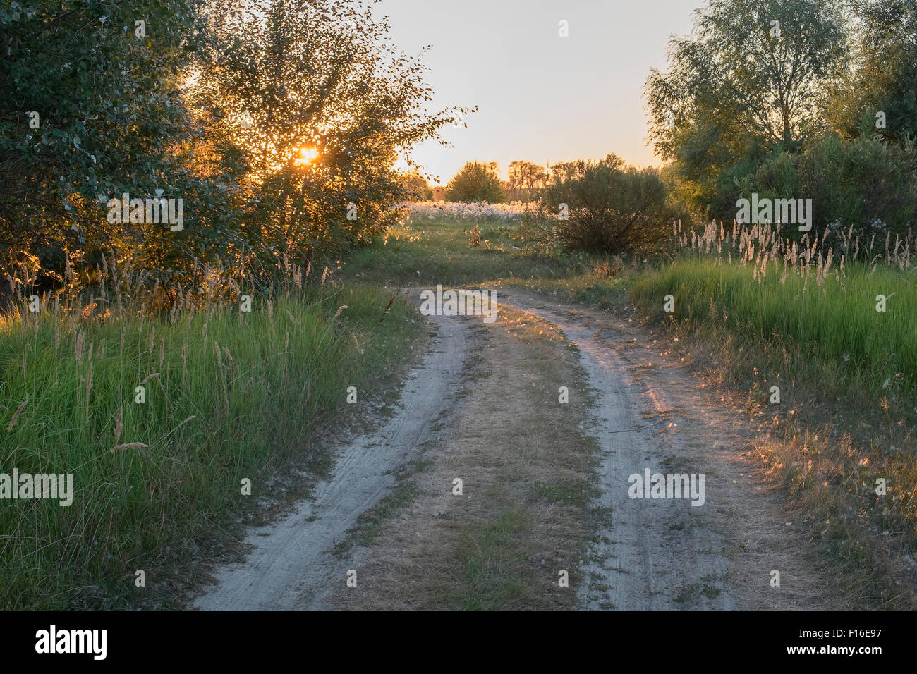 Sentier des prés dans le coucher du soleil Banque D'Images