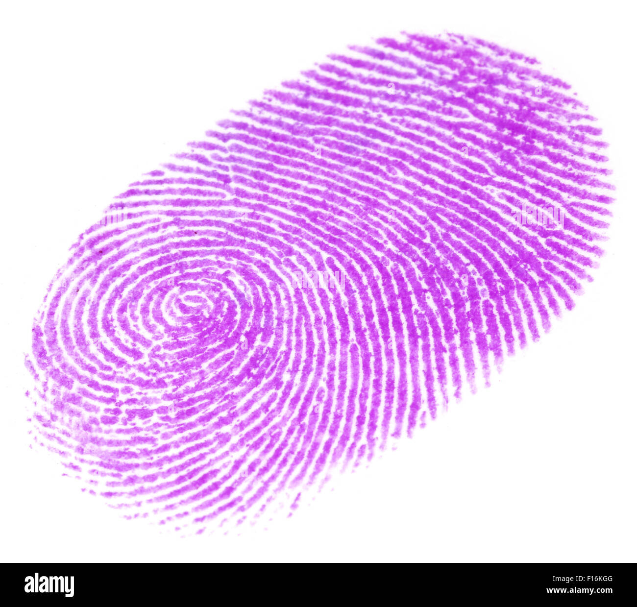 Fingerprint ove fond blanc Banque D'Images