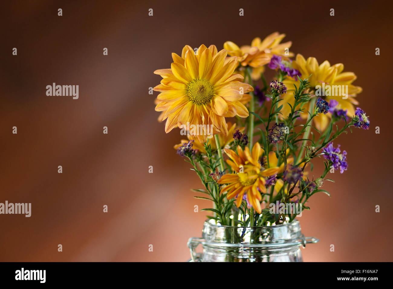 Belle fleur dans un vase Banque D'Images