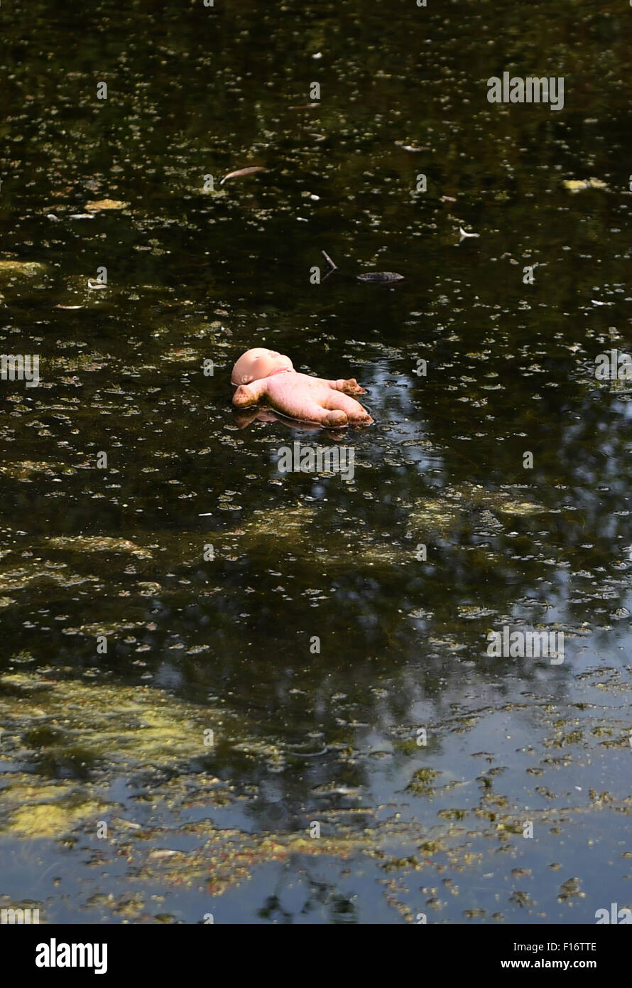 Sinistre à la poupée jouet flottant dans l'étang plein d'algues Banque D'Images