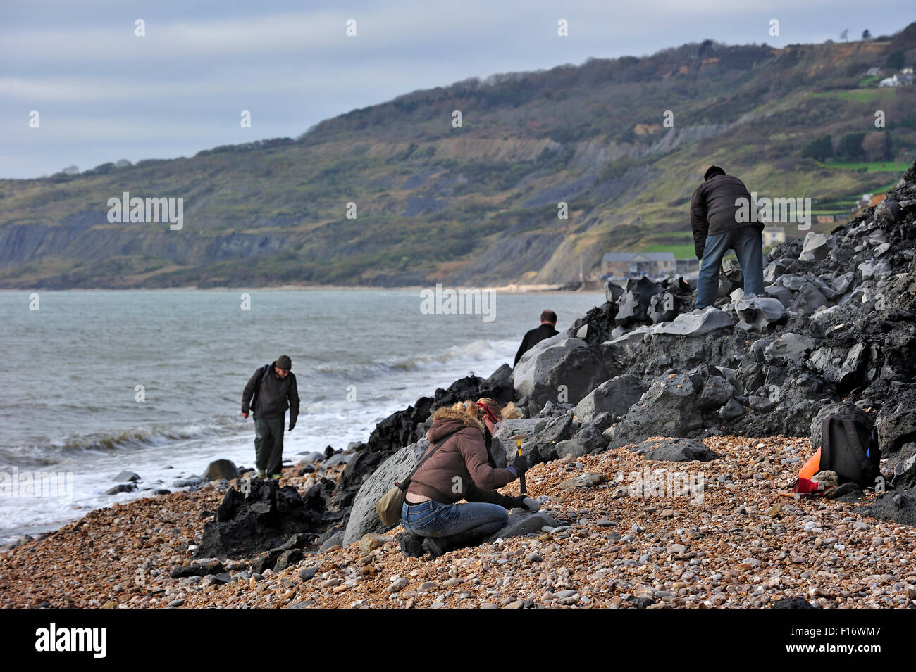 Les paléontologues et les touristes à la recherche de fossiles sur la plage après le glissement de terrain à Black Ven près de Lyme Regis, sur la côte jurassique, Dorset Banque D'Images
