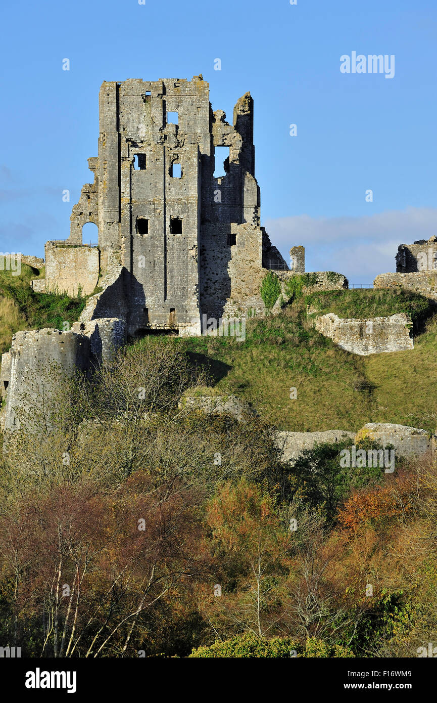 Ruines du château de Corfe médiévale à l'automne sur l'île de Purbeck le long de la côte jurassique du Dorset, dans le sud de l'Angleterre, Royaume-Uni Banque D'Images