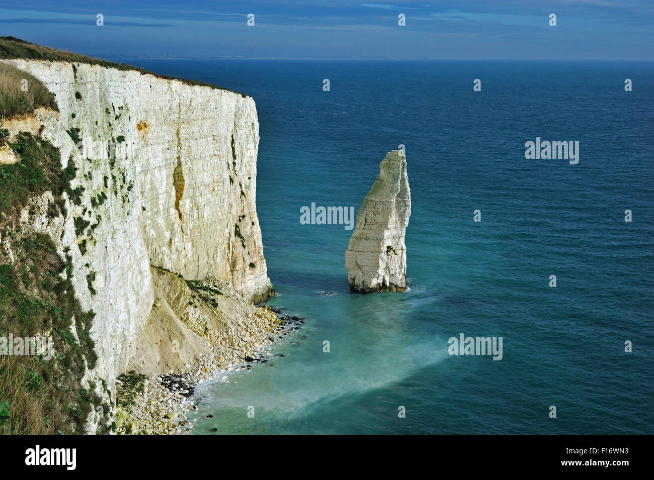 La pile de la mer de craie Pinnacles près de Old Harry Rocks à Handfast Point, à l'île de Purbeck, Jurassic Coast, Dorset, England, UK Banque D'Images