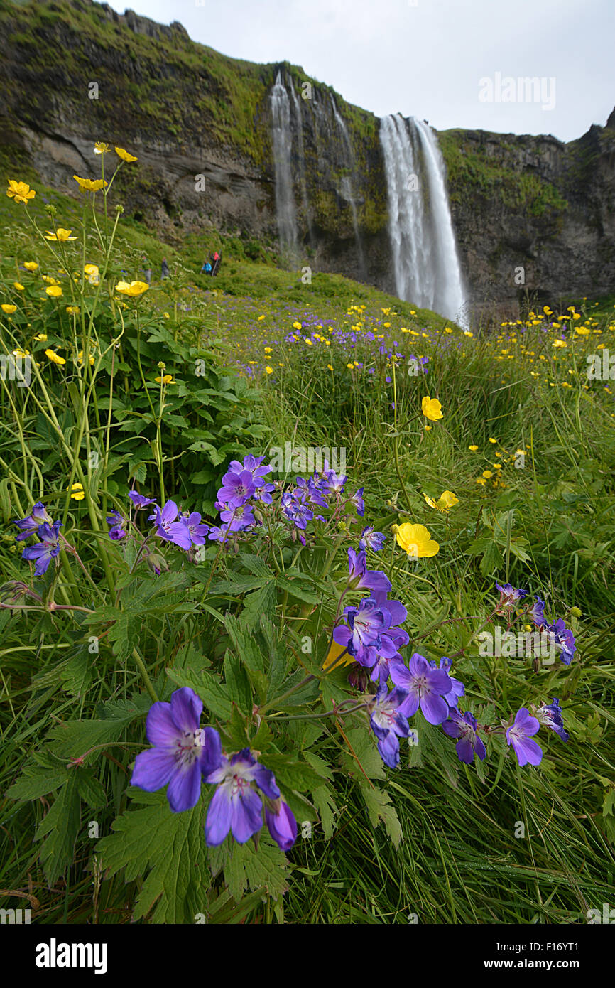 Chutes d'eau en Islande Islande collection paysages Banque D'Images