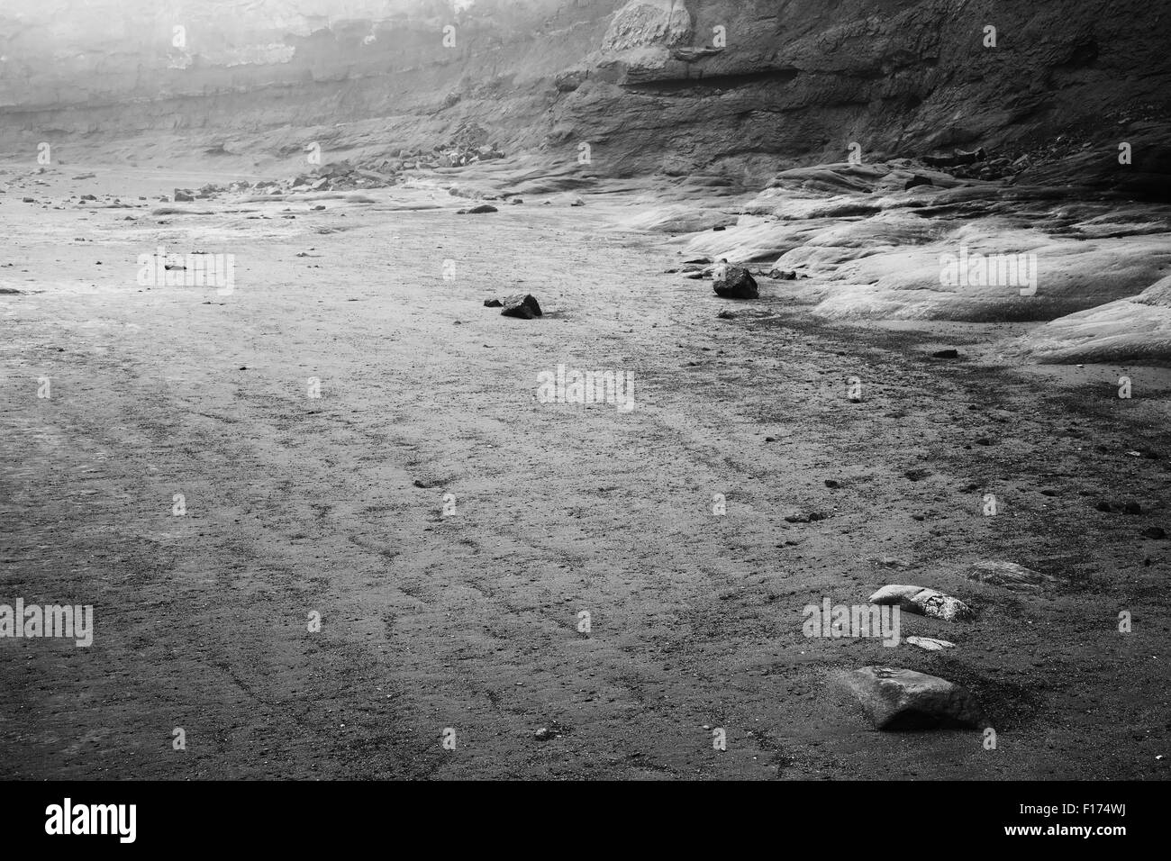L'océan à marée basse en Nouvelle-Écosse, Canada. Image Monochrome. Banque D'Images