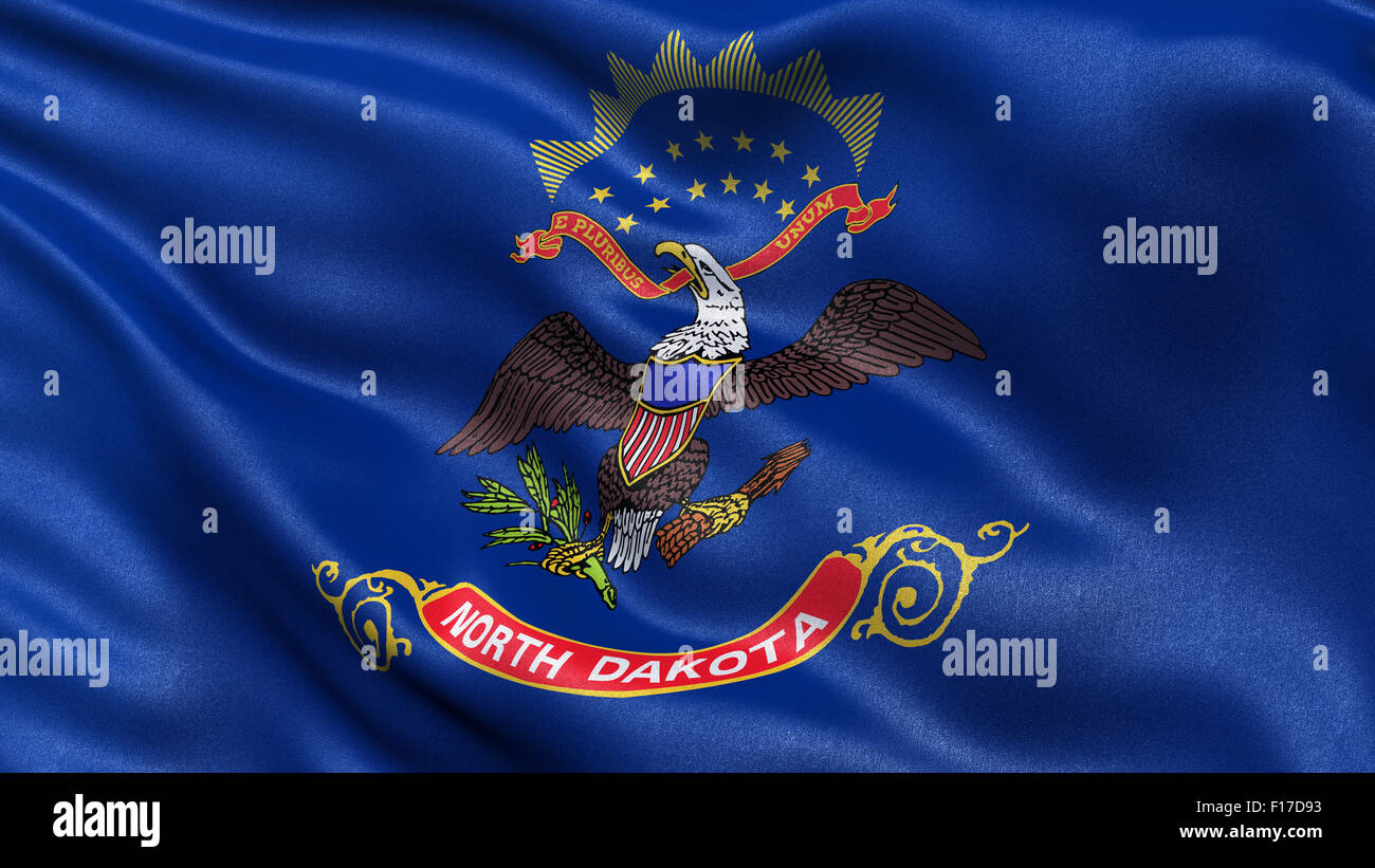 Verre à Shot Décoré État Du Dakota Du Nord - Multicolore - Neuf - Idée Cadeau