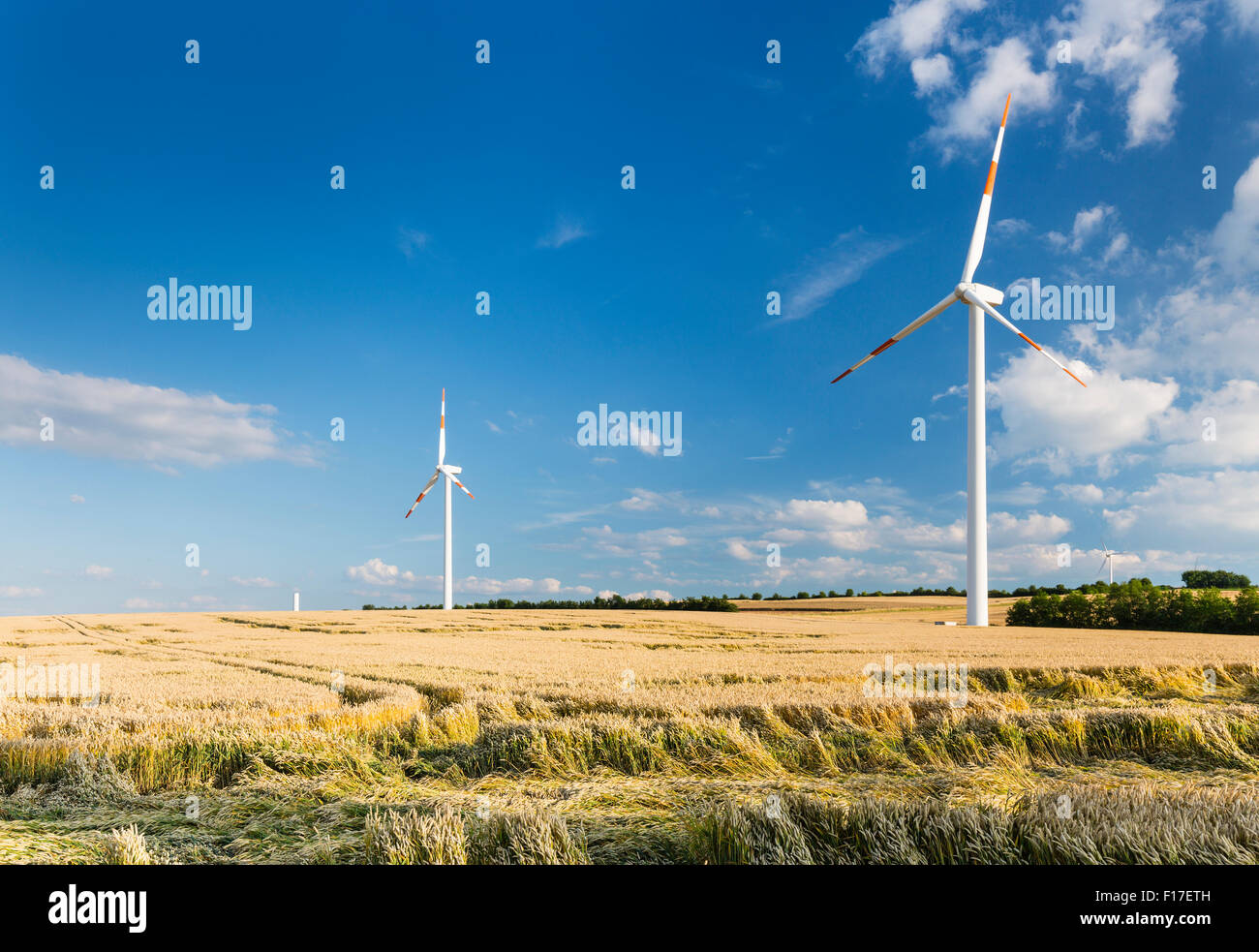 Les éoliennes dans les champs d'or, dans l'Eifel, en Allemagne. Banque D'Images