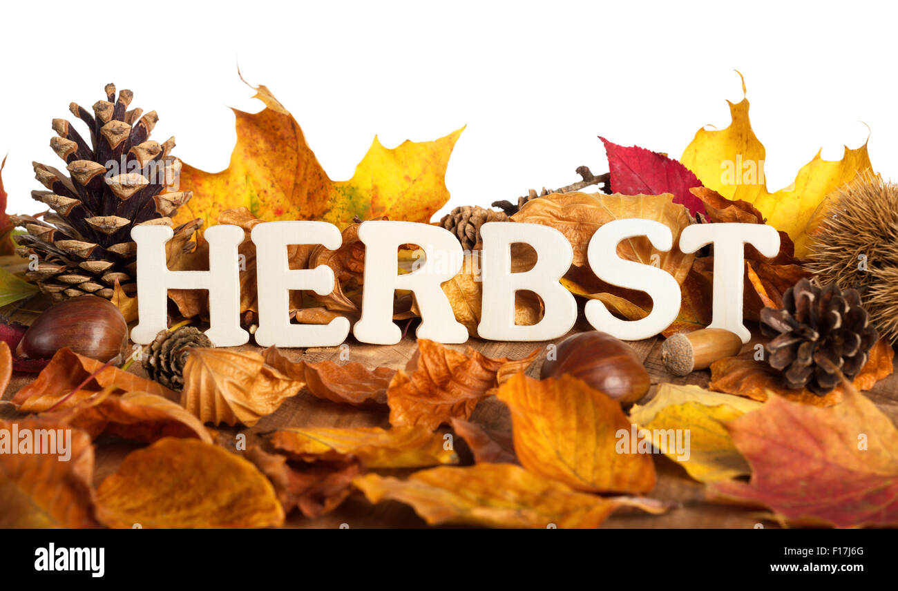 Mot allemand pour l'automne, Herbst, écrit sur des feuilles sèches avec des lettres en bois, fond blanc Banque D'Images