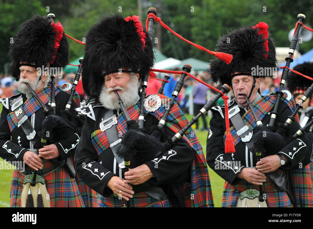 Dunkeld, Perth et Kinross, Scotland, UK. Le 29 août, 2015. Les membres de l'Blairgowrie et Rattray District Pipe Band au 2015 et les Jeux des Highlands de Dunkeld Birnam Crédit : Cameron Cormack/Alamy Live News Banque D'Images